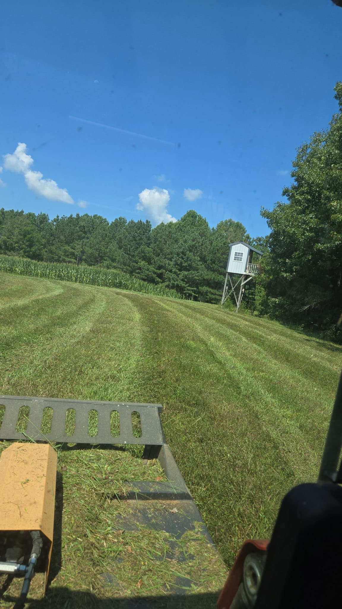 Bush hogging service Owensboro KY tractor rotary cutter mowing overgrown field