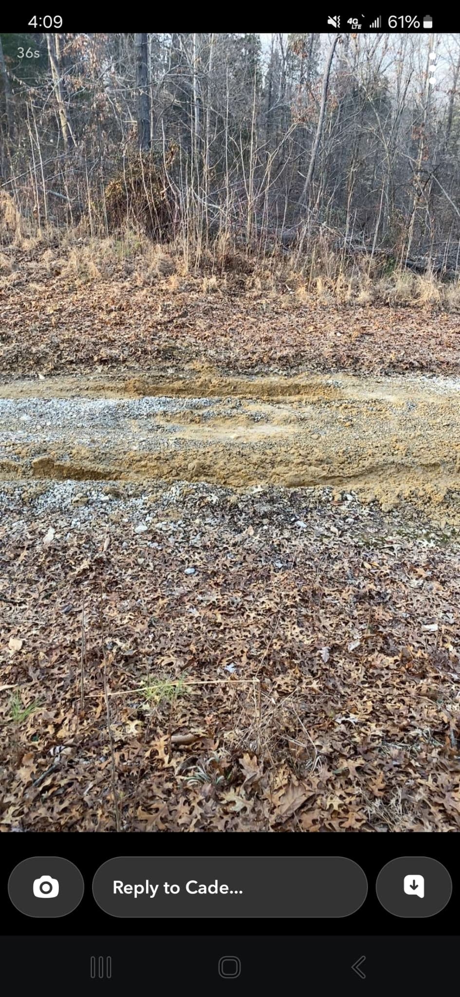 Driveway before land clearing and grading 2