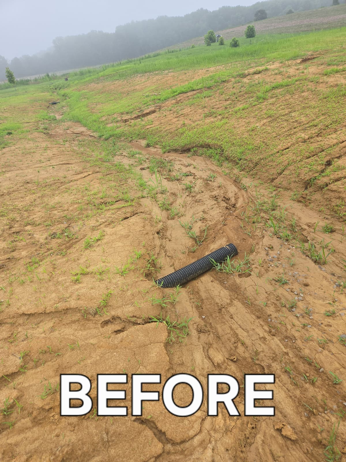 Field before land clearing and preparation 1