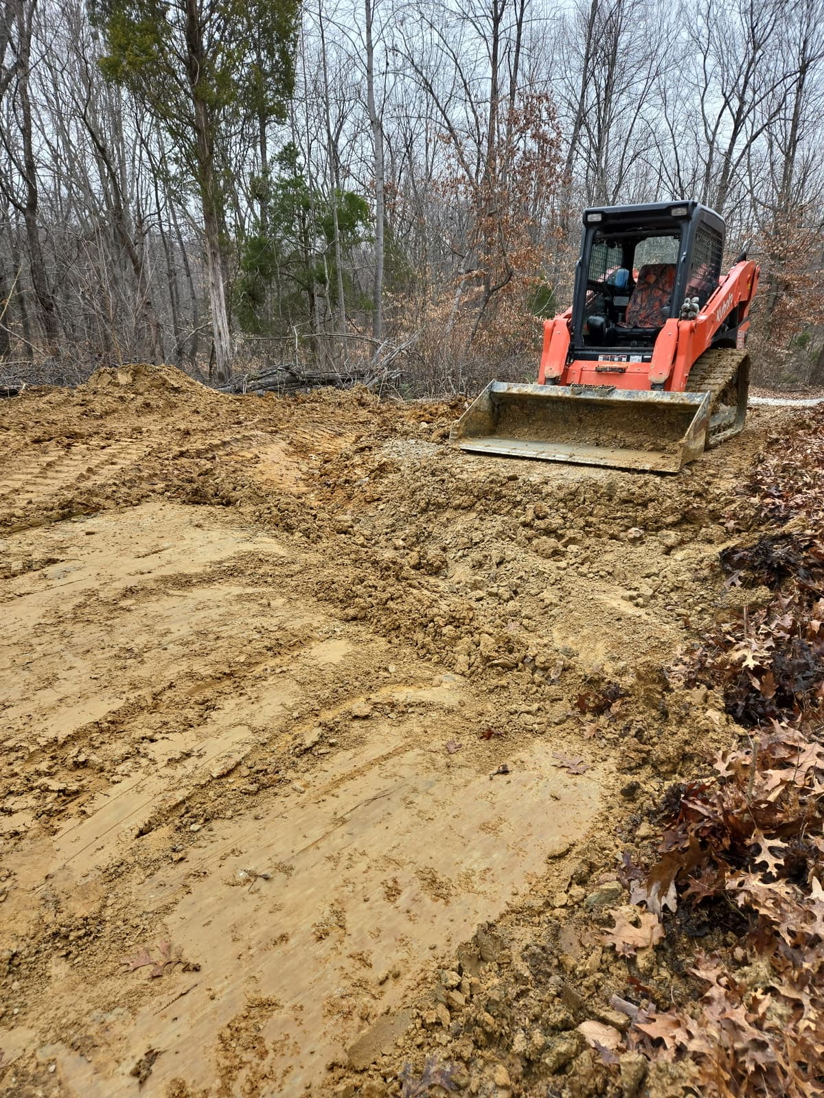 Driveway before land clearing and grading 1